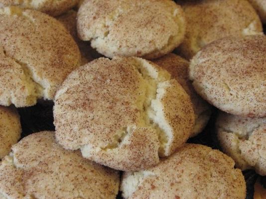 knapperige snickerdoodle-koekjes met zeezout (zuivelvrij)