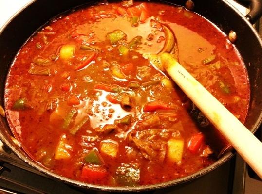 hovezandiacute; gulandaacute; andscaron; / beef goulash