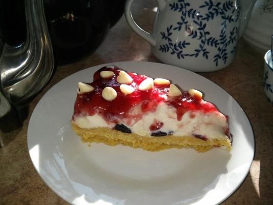 citroenjuweel geen bak cheesecake