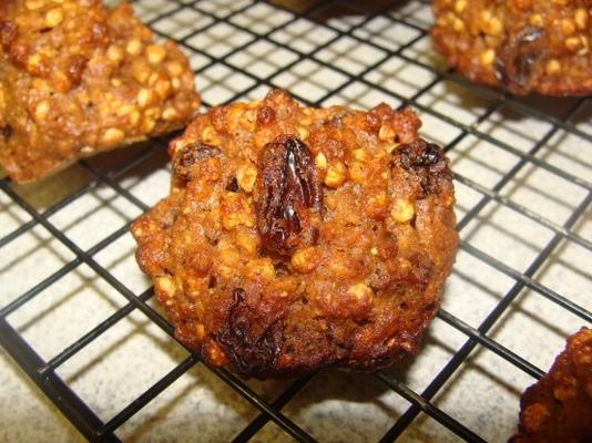 havermout raisin cookies - rocco dispirito