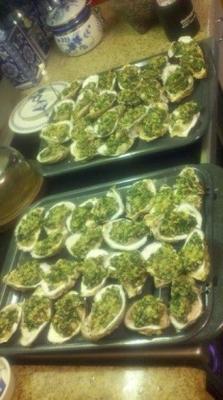 oesters rock haar kerel