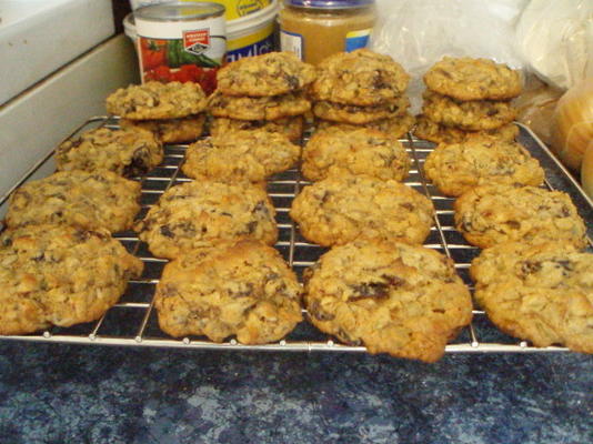 hennepmuesli zaadkoekjes