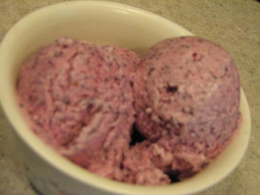 verse bosbessensorbet