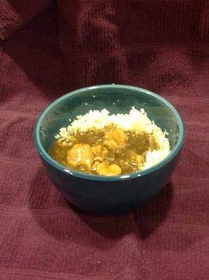 low carb japanse curry