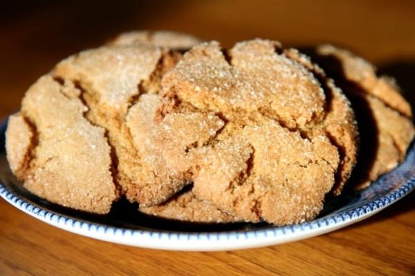 beroemde gember koekje van de zilveren dollar stad