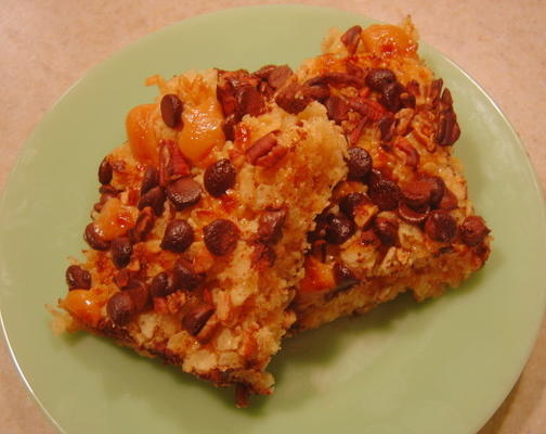 krispie schildpad bars