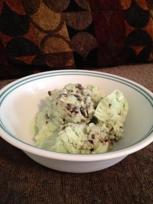 geen churn mint chocoladeschilferijs