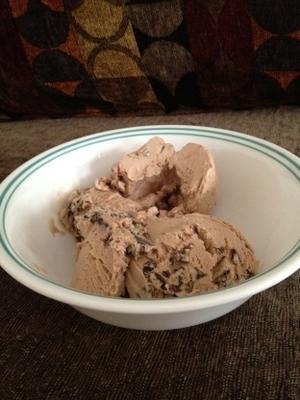 geen churn chocolade-mint-ijs met chocolademunt-chips