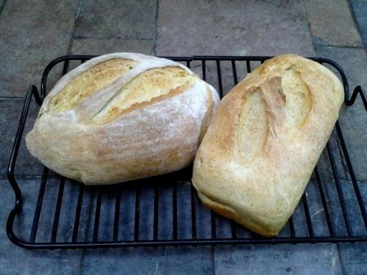 vichyssoise (aardappel-prei) brood