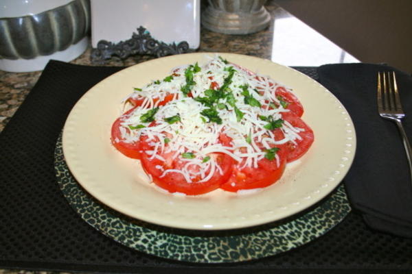 basilicum tomaat mozzarella salade
