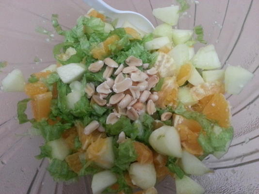 appel en sinaasappel salade met honing-knoflook dressing