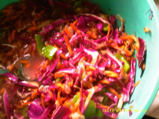 bevroren rode slaw