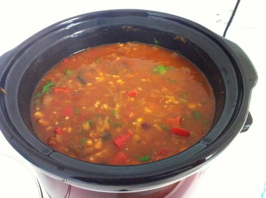 wie is nu veganist ?! Chili