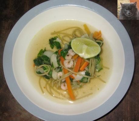 Thaise noedelsoep met groenten en garnalen