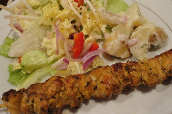 smakelijke kip kebab