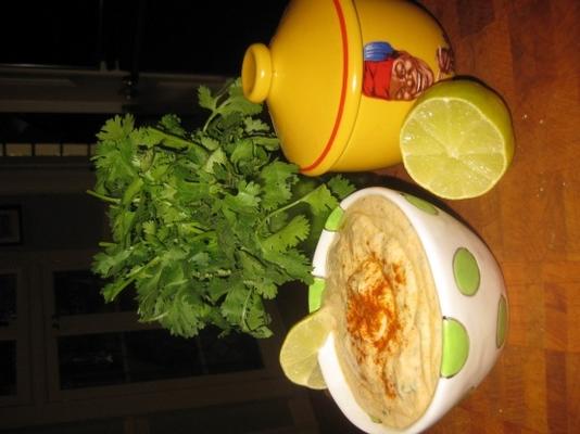 gekruide Marokkaanse yoghurtmarinade of duik