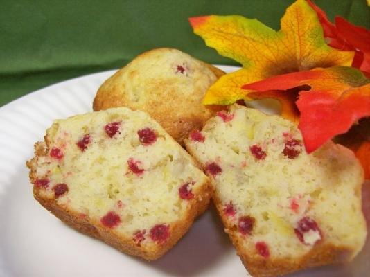 frambozen-bananen muffins