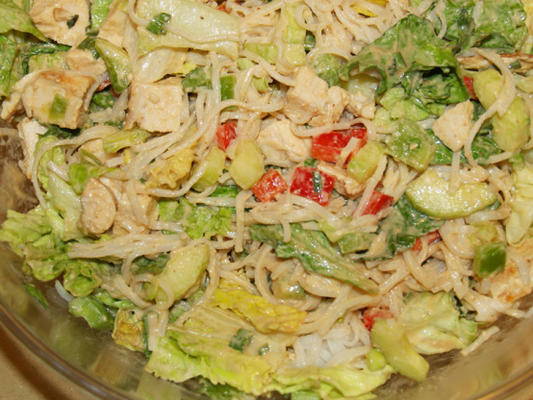 sesam kip komkommer noodle salade