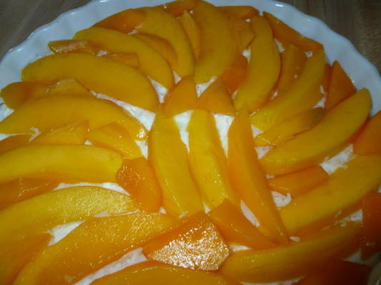 mango taart vers