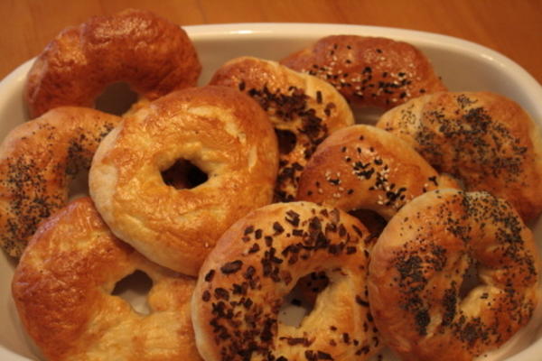 thermomix gewone bagels