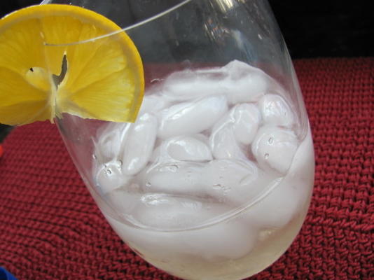 st. germain gin en tonic