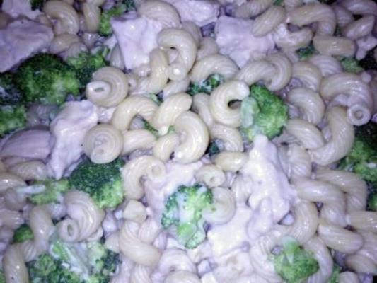 kip en broccoli Alfredo pasta