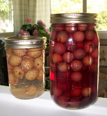 muscadine druivensap