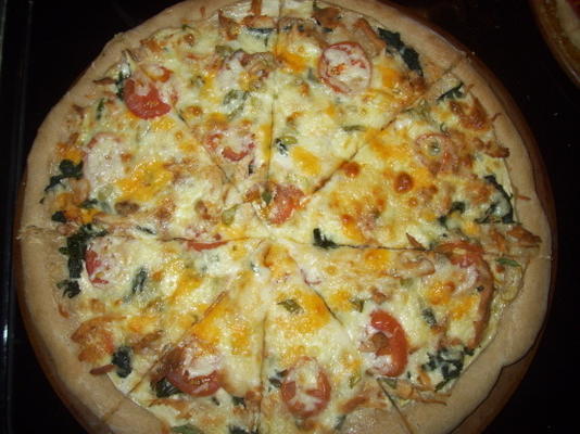 spinazie, alfredo, kip en tomatenpizza