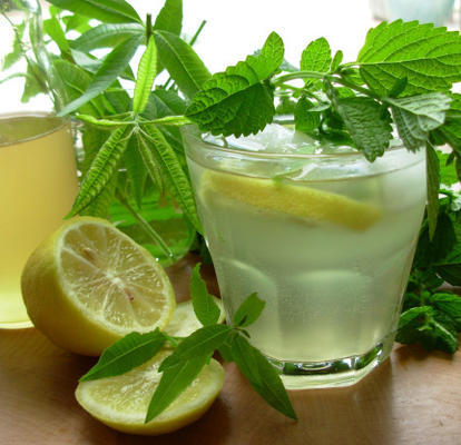ouderwetse citroenmelisse en citroenverbena limonadesiroop