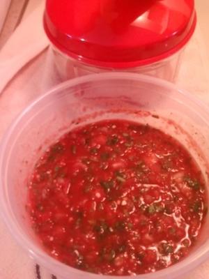snelle eenvoudige salsa