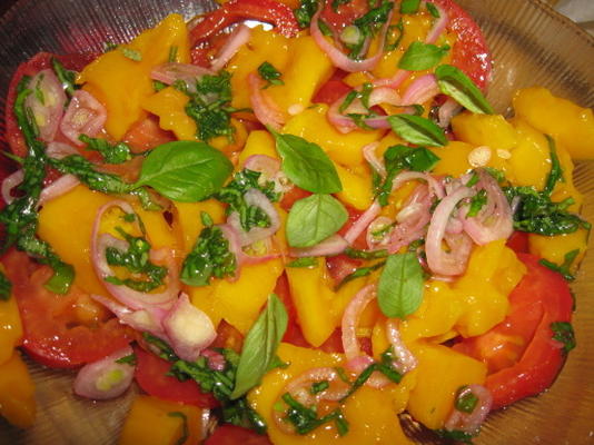 pittige tomaat en mangosalade