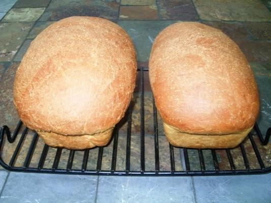 hoog rijzend gistbrood van volle tarwe