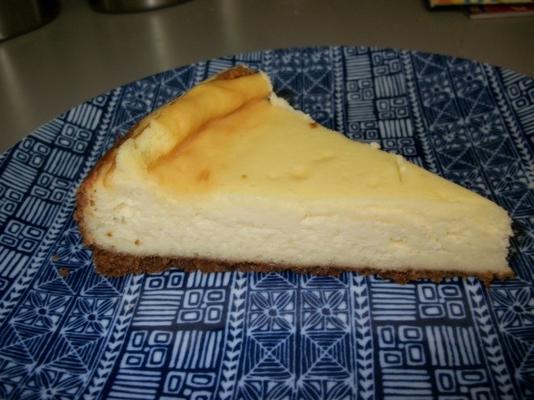 zuidelijke levende cheesecake
