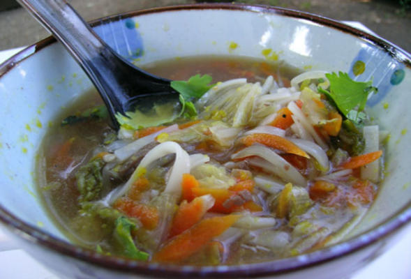 varkensvlees gember udon soep eenvoudig gemaakt