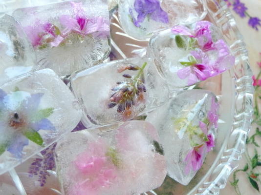 verse bloem / kruidbloesem ijsblokjes voor vermaak in de zomer