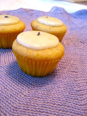 lavendel citroen cupcakes (met suikerglazuur)