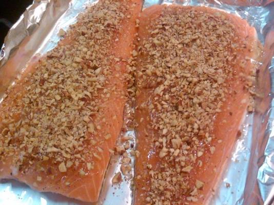 eenvoudige honing geglaceerde filets (zalm)