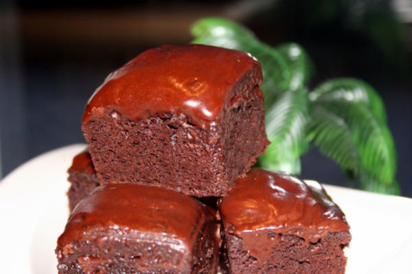 Nederlandse cacao en pompoen brownies (cake-achtig)