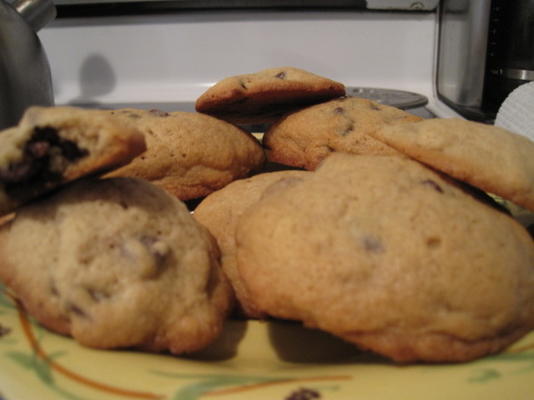 heerlijke kaneelchocoladekoekjes