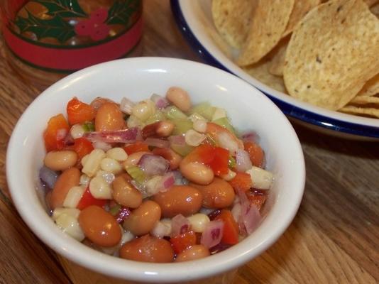 vakantie partij boon salsa