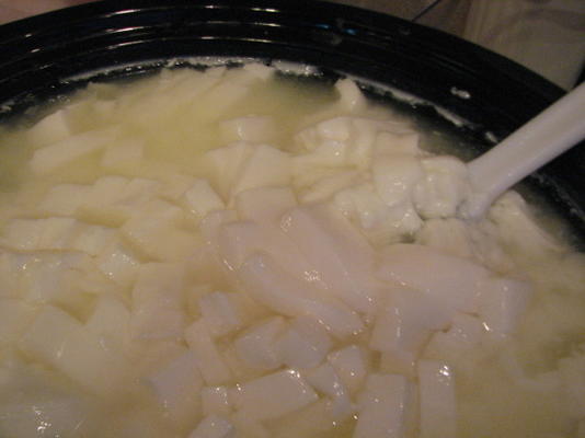 zelfgemaakte cottage cheese (crock-pot)