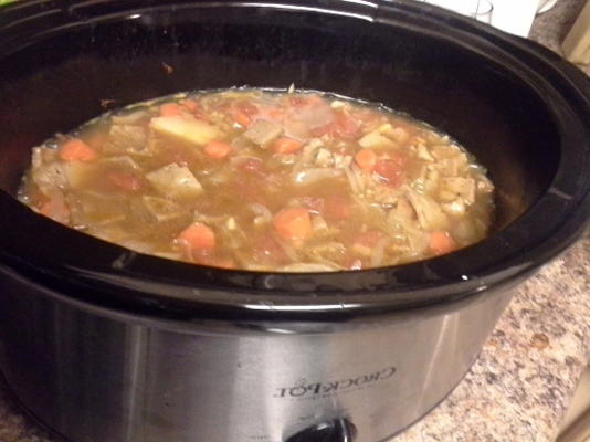 crock pot seitan stoofpot