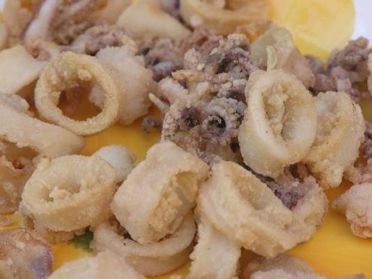 Dalmatische gefrituurde calamares