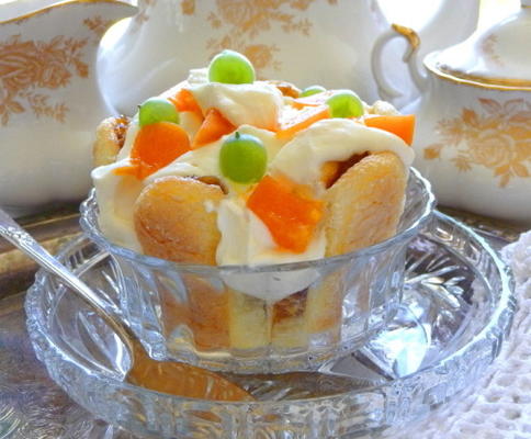abrikoos kruisbes gelaagde trifle dessert met mascarpone crème