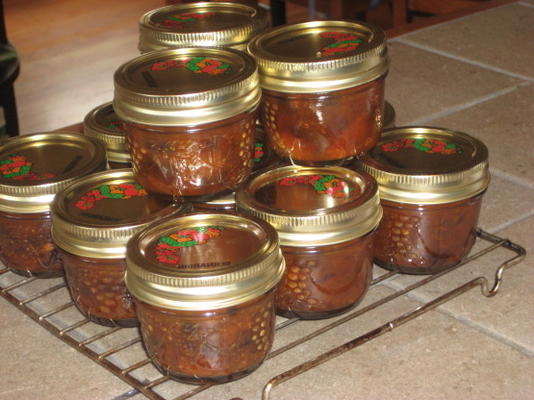 zomer oogst abrikoos chutney