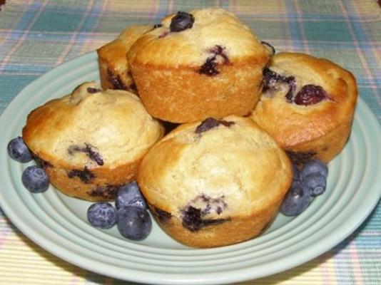 bosbessen oranje muffins (diabetisch vriendelijk)