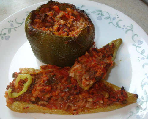 niet alleen een andere gevulde paprika