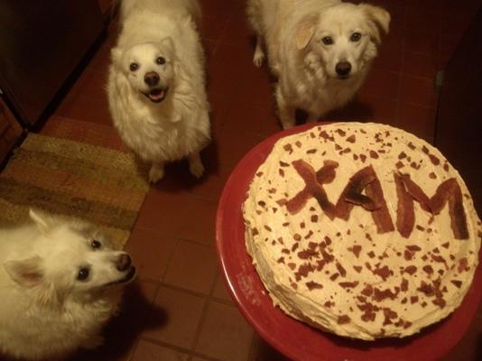 kona k's doggie verjaardagstaart