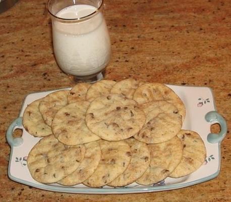 chocadoodle-koekjes