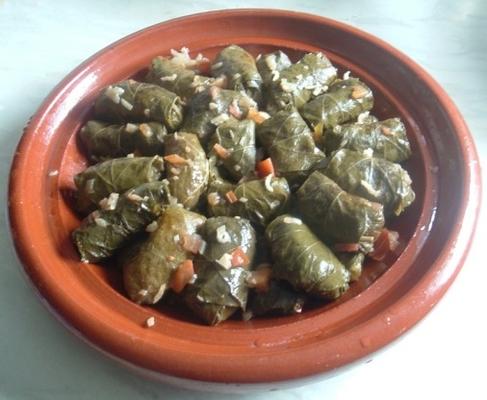 dolma dalya - algerijns tomaat en peper gevulde wijnbladeren